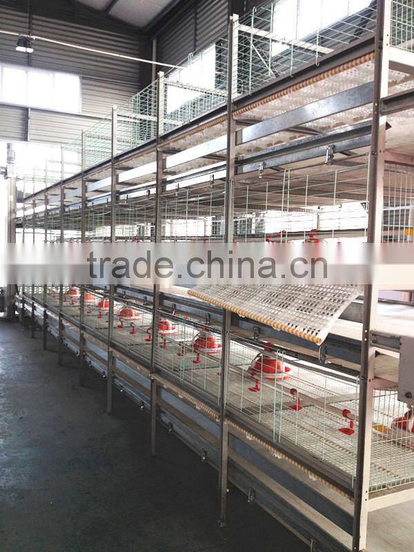 layer/chicken/broiler cages for poultry farm sale
