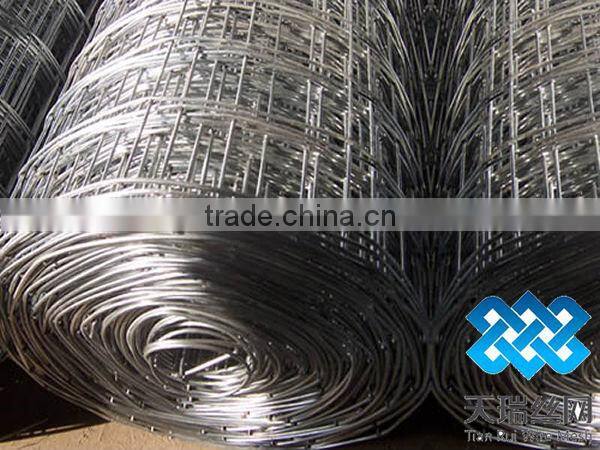 Anping welded wire mesh (Hot sale)