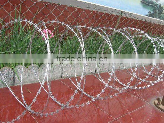 high quality low carbon galvanized barbed wire (manufactirer)