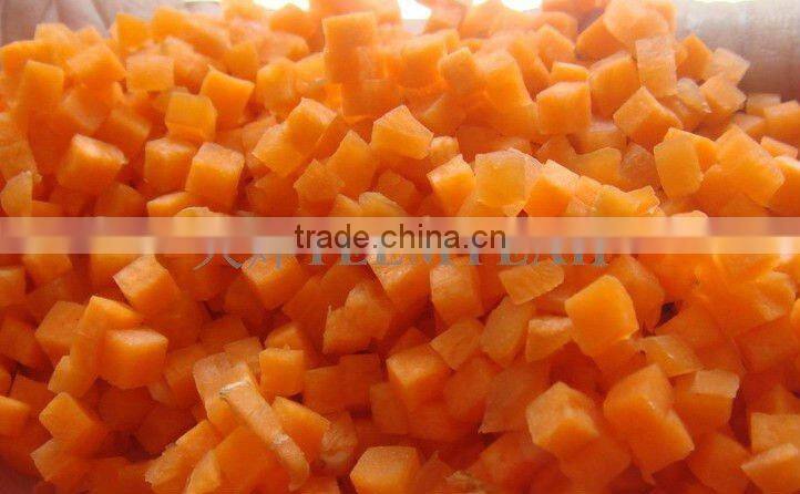 New arrival TD-1500 dicerdried fruit machines (Video)