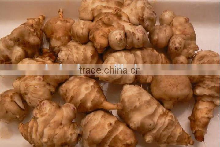 Continuous type Jerusalem artichoke puree/mash blanching machine