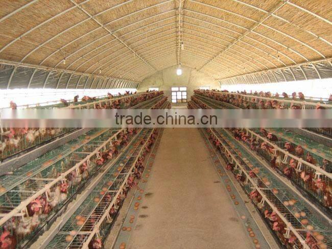 Low cost tunnel greenhouse for poultry farming equipment