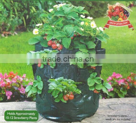 Wholesale PE Garden Strawberry Planter
