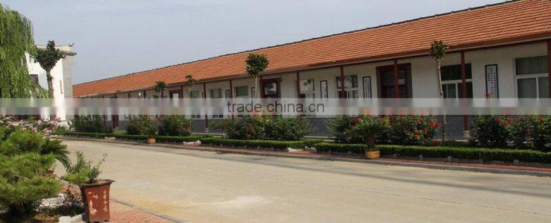 Laizhou Xintian HRT60-9 Roller Conveyor