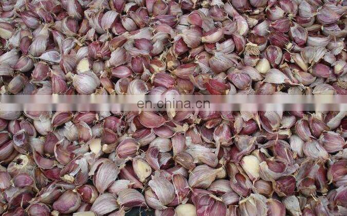 Factory Supply Garlic Onion Peanut Seeds Planting Machine