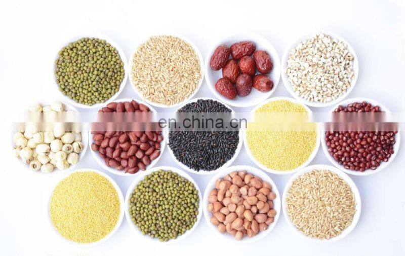 High quality rice washer machine /beans washing machine /Green bean cleaning machine