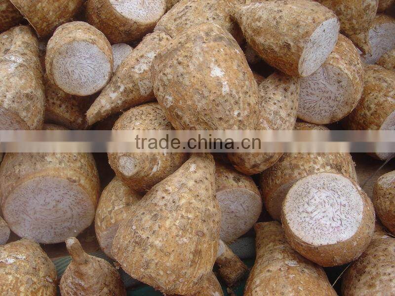 Frozen Taro Root Sliced from Vietnam