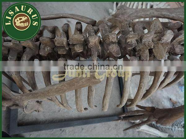 Lisaurus-V artifical dinosaur skeleton fossil