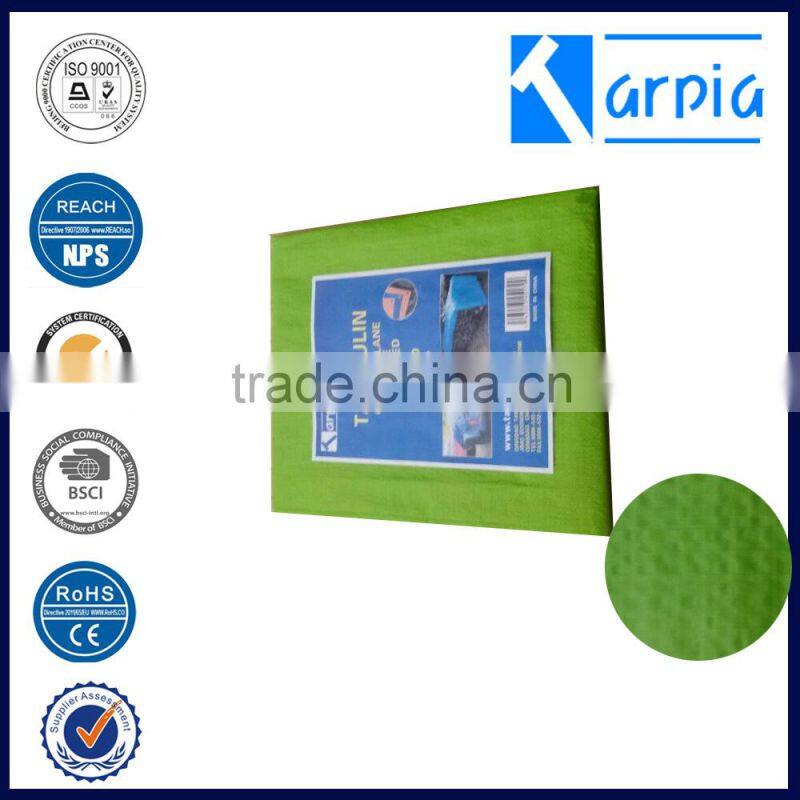 China made pe tarpaulin blue tarp with 6x6 mesh