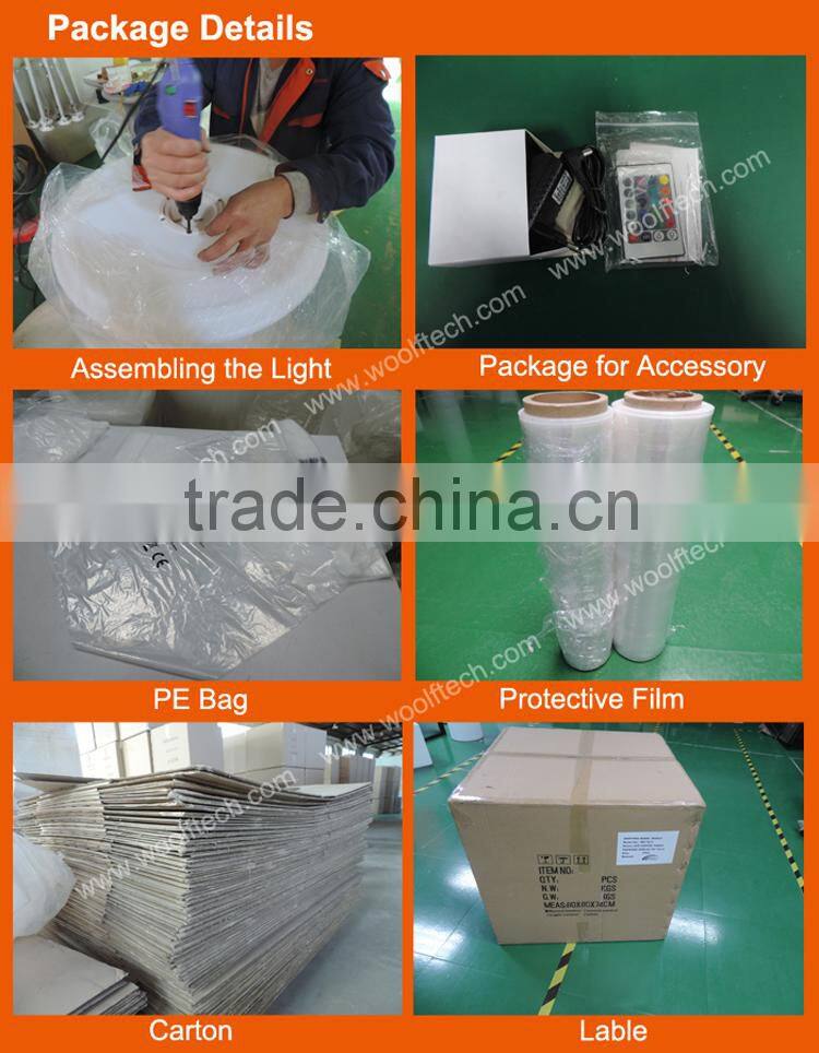 Nice Looking Color Chaing 16 colors RGB LED Egg Lamp