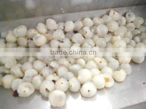 Litchi Pre-treatment Production Line
