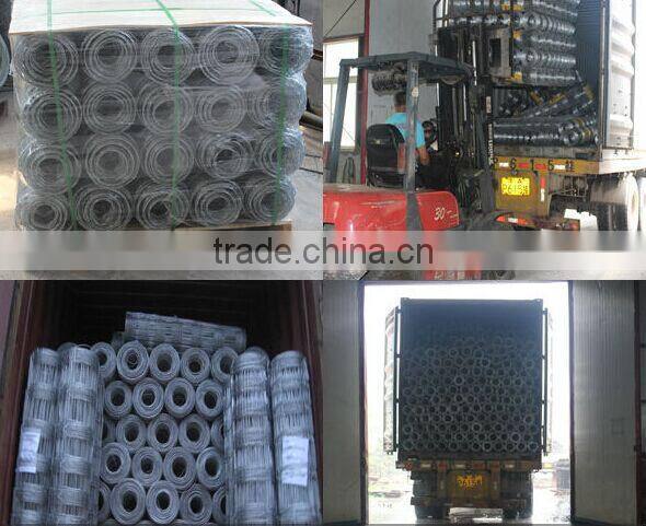 5 feet Hot Dipped Farm Fencing Wire
