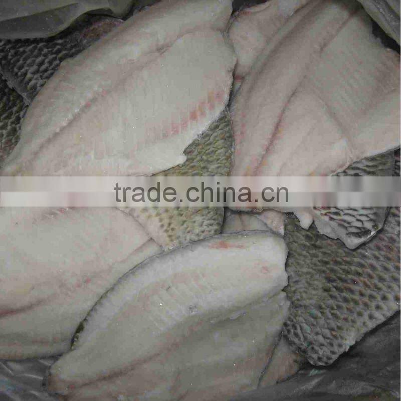 Frozen tilapia farm fish fillet