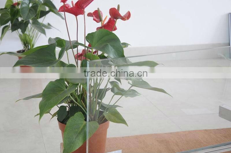 331, 441, 551, 662, 884 laminated glass with AS/NZS 2208:1996 and EN12150 certificate