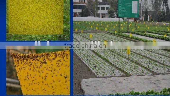 Hot Sale strong adhesive fly trap,yellow board insect killer,fly ribbon ,fly catcher