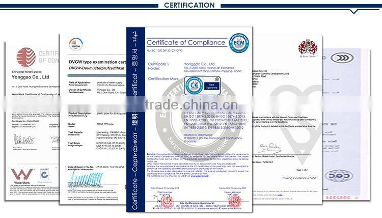 high quality cheap custom ppr plug/ppr end cap/ppr pipe fittings