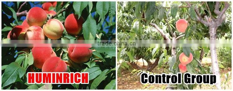 Huminrich Super Based Organic Fertilizer Most Important Micronutrients