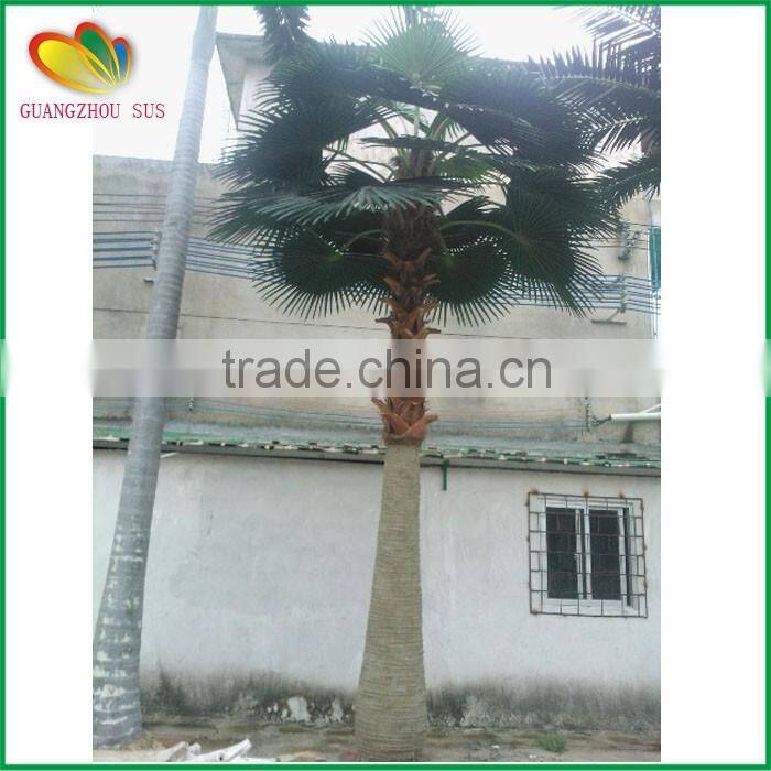 SUS artificial palm tree fiberglass artifcial palm tree