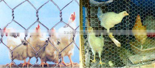 Galvanized Lobster Trap Hexagonal Wire Mesh