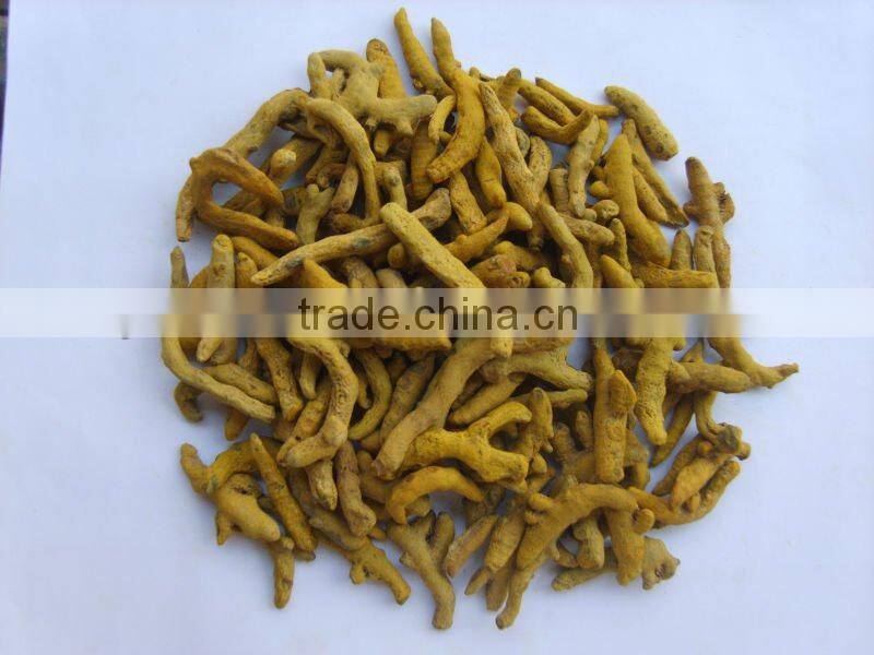 Turmeric finger 2014 strong taste