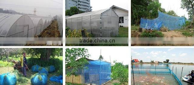 blue nylon net/pe farm net/pe screen fishing net/mosquito blue net/window screen net