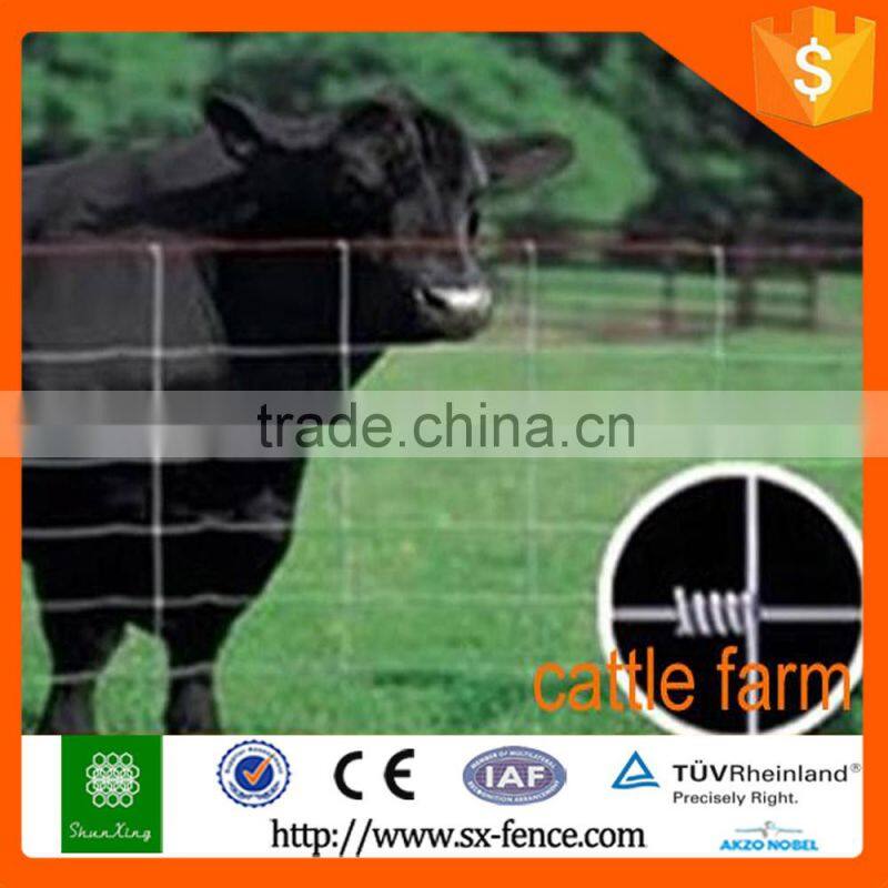 Woven Sheep wire fencing