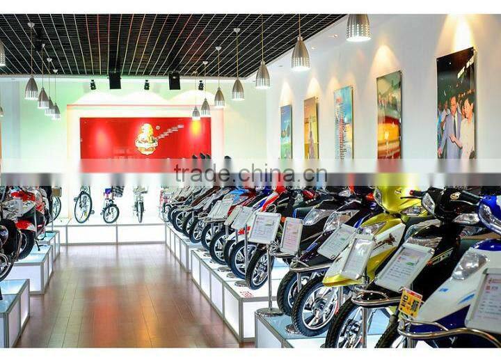 convenient lovely 36v 250w folding rechargeable bicycle