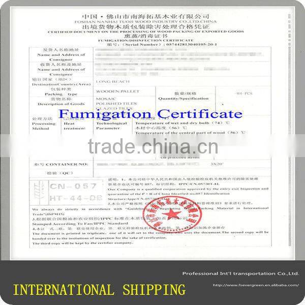 International Railway logistics from China to Russia,inland transportation in road