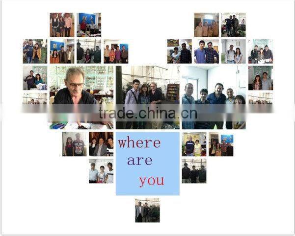 metal eyelets for handbag,oval shape eyelet for bags,o shape eyelet for shoe