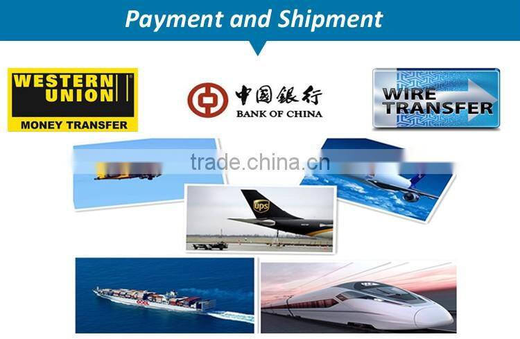 Portable Ultrasound Machine/Portable Ultrasound Scanner/Portable Ultrasound Manufacture Supplies- BPU09