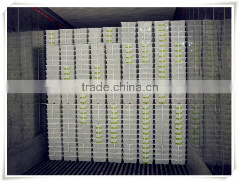 HALAL certified seasoned seaweed salad hiyashi chuka wakame