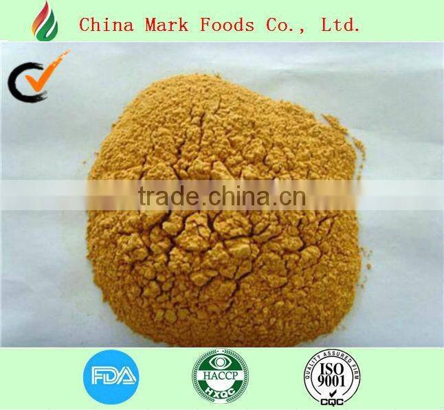 china tomato powder