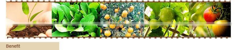 Designed Good Service Organic Additive fertilizer npk