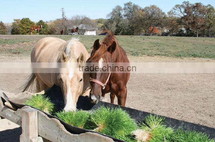 high quality fodder growing system machine