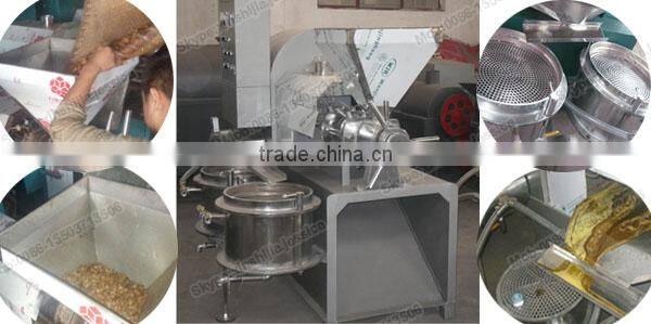 Professional automatic pumpkin seed oil press machine(mob:0086-15503713506)
