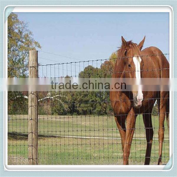 The best price galvanized iron wire horse/sheep/cattle/deer/cow fence panel