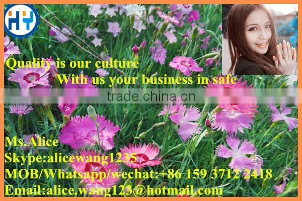 Professional grass chopper machine for animals feed