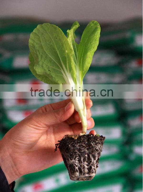 Latest Fashion top sell competitive price nursery seeding tray