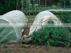 ground films, weed block fabric,horticultural fabric
