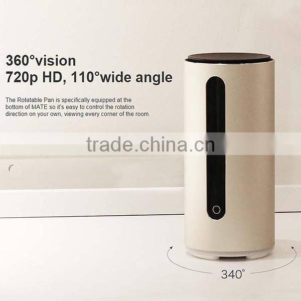 Innovative new smart home pet monitor with laser pointer