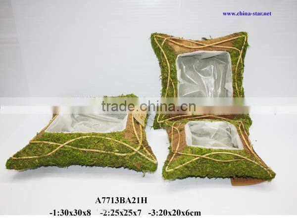 decorative moss plant pot supplier