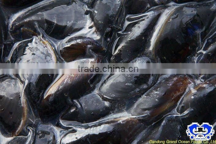 frozen mussel with half shell