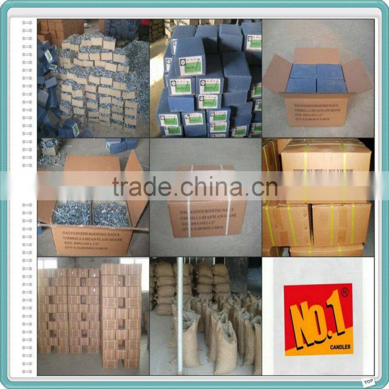 Electro Galvanized Roofing Nails/Umbrella Nails Factory