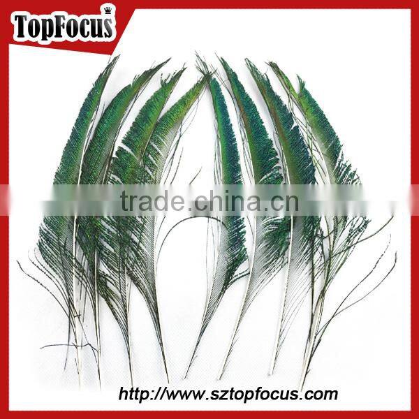 wedding dresses decoration indian wholesale natural peacock feather