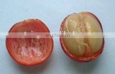 China Coffee Bean Huller Coffee Bean Peeller with cheap price