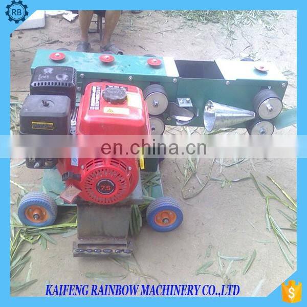 2018 New most popular product Wicker peeling machine on sale