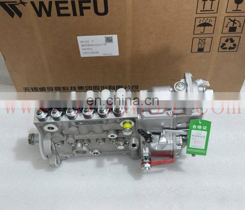 High pressure fuel pump 6BT fuel injection pump 6BT5.9 3960922 3979322 3960919