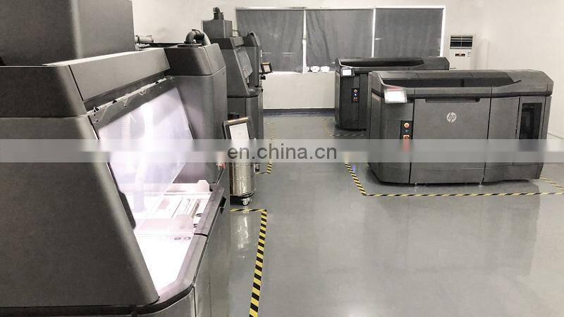 SLS PA12 powder 3D printing/plastic pa nylon 3d print prototype/3d printing service sls