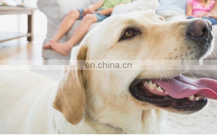 Breathable sandals summer waterproof non-slip indoor home dog pet shoes