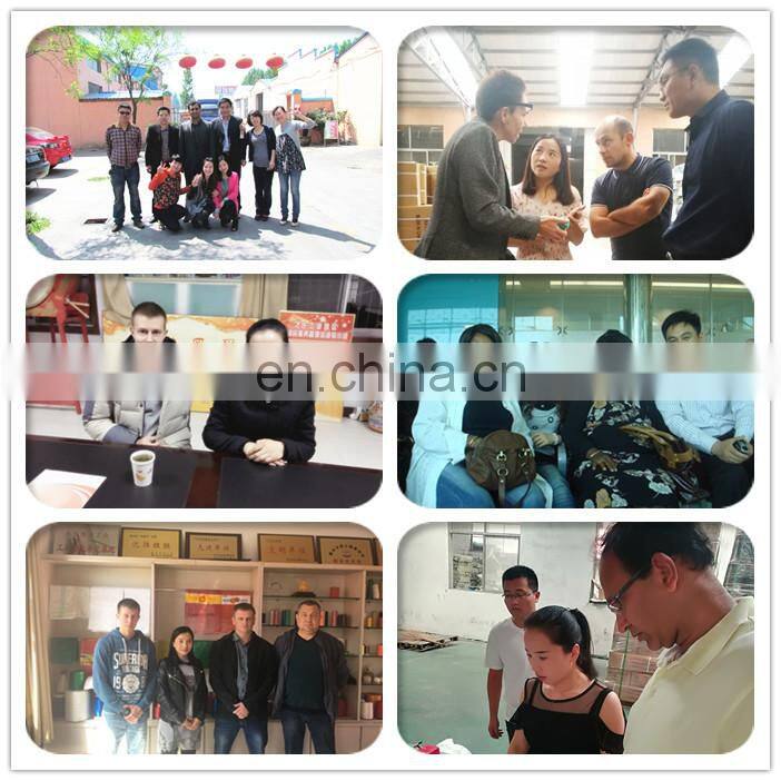 1000D/2 High strength Polyester FIBC Sewing thread